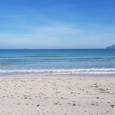 Ideal Property Mallorca - Avinguda Dels Pins 441 플라야 데 뮤로 외부 사진